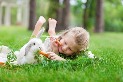 ウサギににんじんを食べさせている女の子