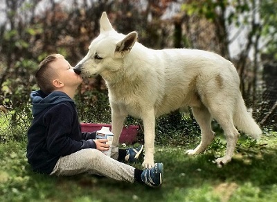 犬と少年