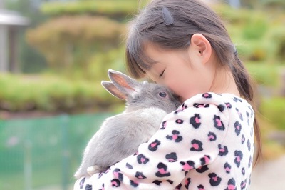 ウサギと女の子