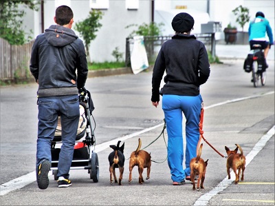 犬と散歩するカップル