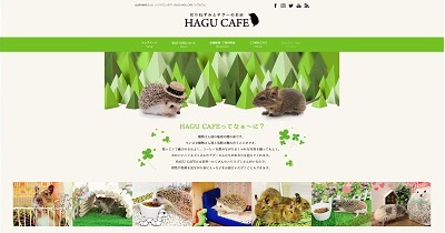 HAGU CAFE（ハグカフェ）公式サイト