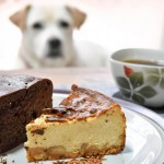 犬に絶対与えてはいけない食品「チョコレート」なぜ危険なの？中毒症状は？