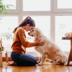 愛犬は飼い主の感情に同調する！「犬の共感能力」を知って、愛犬との特別な絆を育もう