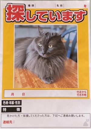 迷い猫のポスター