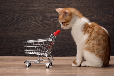 猫と買い物かご