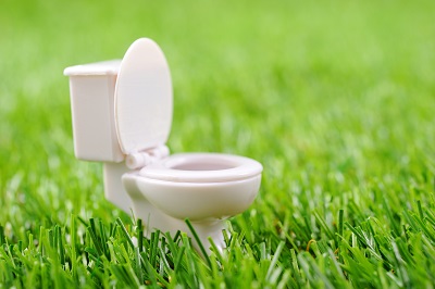 緑の芝生の上にある白い洋式トイレの便器