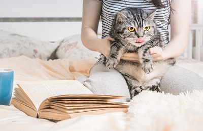 読書中の女性に抱かれる猫