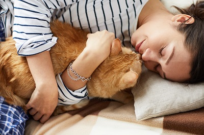 猫を抱いて眠る女性