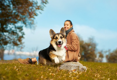 公園で過ごす犬と女性