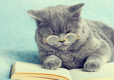 メガネをかけ読書をする猫