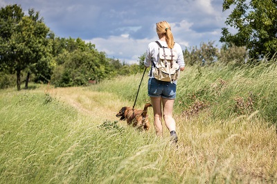 草むらを散歩する女性と犬