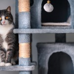 猫にキャットタワーは必要？猫が喜ぶキャットタワーの選び方・置き方を知ろう！