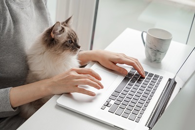 猫とPCで作業をする女性