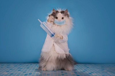 白衣を着て注射器を持つ猫