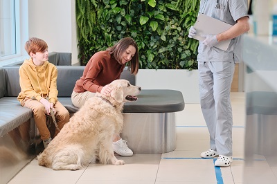 動物病院の待合室で過ごす家族と犬