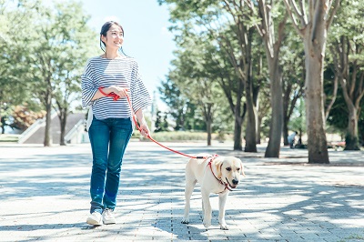 散歩を楽しむ女性と犬