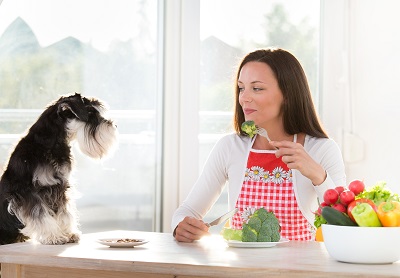 犬を見ながらサラダを食べる女性