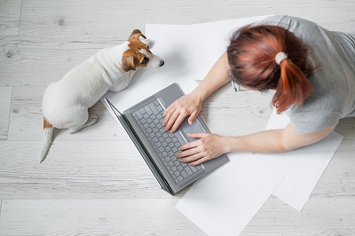 PCで作業する女性と犬