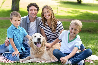 公園で遊ぶ家族とペットの犬