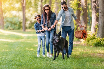 黒い大型犬の散歩をする家族