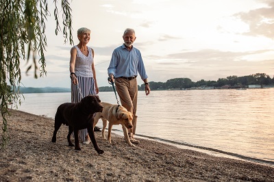 犬の散歩をする老夫婦