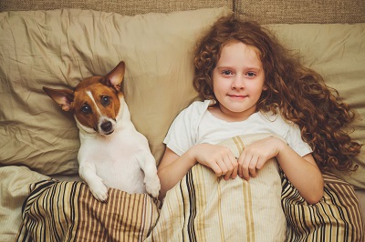 ベッドに寝る犬と女の子