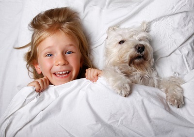 ベッドに寝る犬と女の子