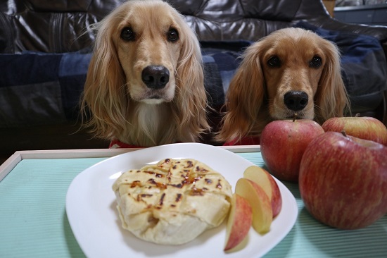 愛犬とアップルパイ