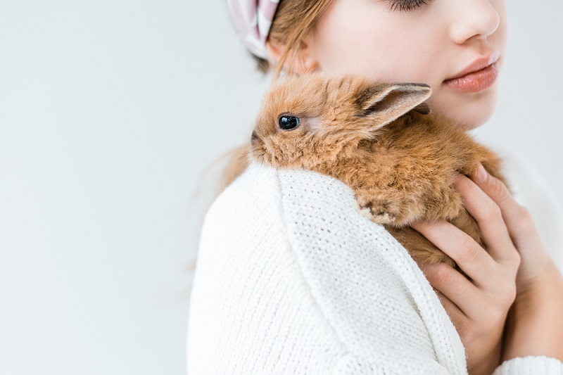 ウサギを抱く女性