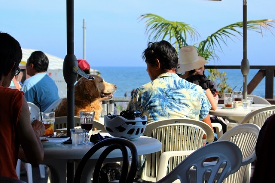 愛犬と沖縄旅行 犬と行きたいテラスのある絶景カフェ 那覇 南部編 Recheri