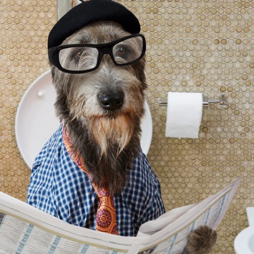 トイレで新聞を読む犬