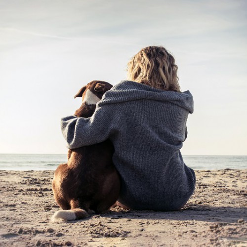 海辺で犬と寄り添う女性