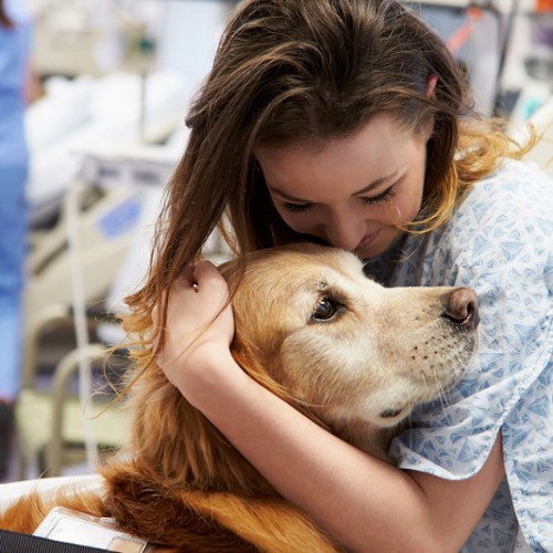 犬を抱きしめる入院中の女性