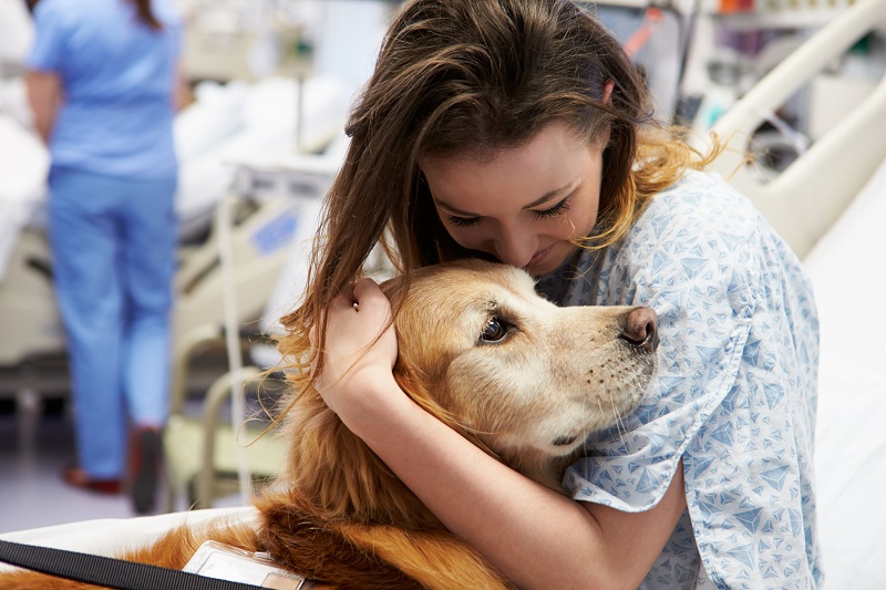 犬を抱きしめる入院中の女性
