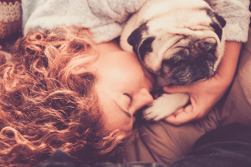 犬と寝る女の子